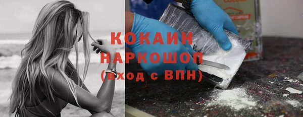 сатива Балахна