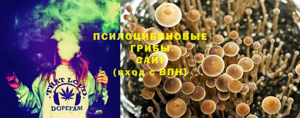 мдпв Михайловск