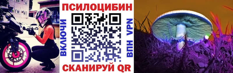Псилоцибиновые грибы Cubensis  где купить наркоту  блэк спрут ССЫЛКА  Алексеевка 