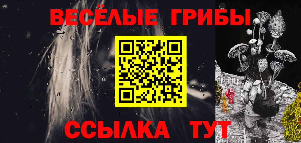 купить наркоту  Вход с VPN  Галлюциногенные грибы Cubensis  Алексеевка  Псилоцибиновые грибы Magic Shrooms 