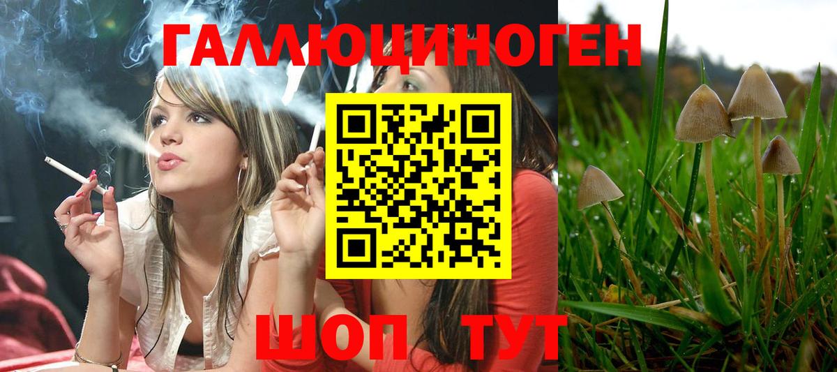 Псилоцибиновые грибы ЛСД Алексеевка