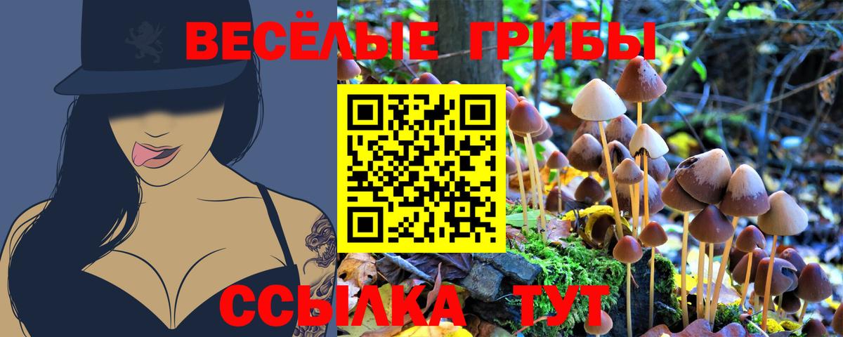 Галлюциногенные грибы Cubensis  Алексеевка  Галлюциногенные грибы Cubensis 