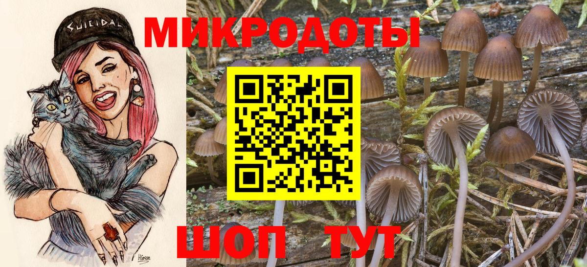 Галлюциногенные грибы прущие грибы Алексеевка