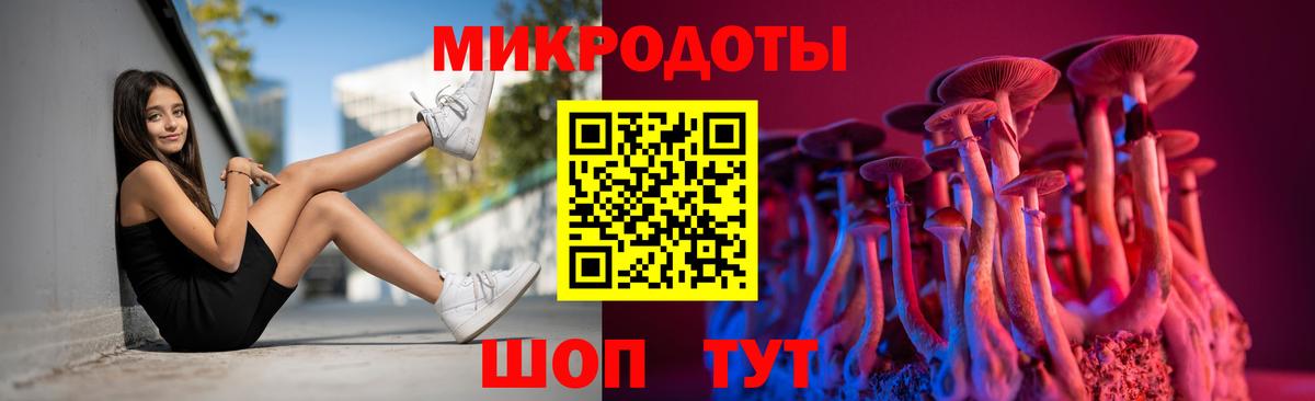 Алексеевка  Галлюциногенные грибы Cubensis  Галлюциногенные грибы GOLDEN TEACHER  Вход с VPN 